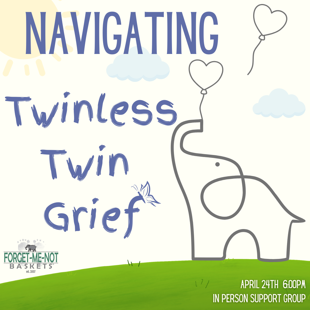 Navigating Twinless Twin Grief Support - logo