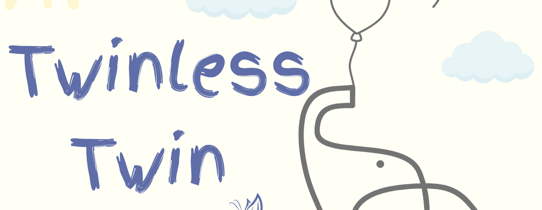 Navigating Twinless Twin Grief Support